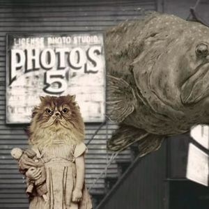 Photo Opportunity 12” x 12” archival fine art signed prints. Limited